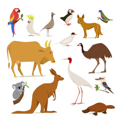 Big set of birds and animals of Australia