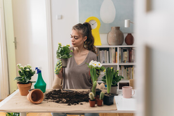 woman planting houseplants in her room