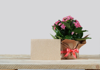 A bunch of kalanchoe with pink flowers in craft paper and with a craft card next to a gray background