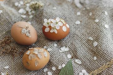 Obraz na płótnie Canvas Happy Easter. Stylish Easter eggs decorated with dry flowers and cherry petals on rustic napkin