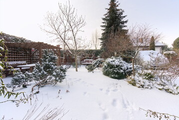 garden gazebo and winter garden  - 417810188