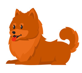 Lying Spitz side view. Cute pet in cartoon style.