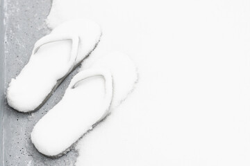 Forgotten flip flops in the snow.