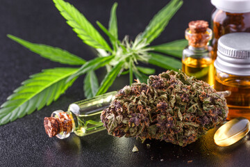 Medical marijuana flower buds. Recreational marijuana strain. Cannabis strain. Weed bud in the...