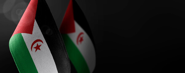 Small national flags of the Sahrawi on a dark background