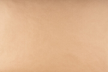 Vellum paper texture. Background and texture.