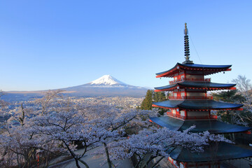 Fototapeta premium pagoda