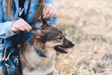 woman holding dog's ears