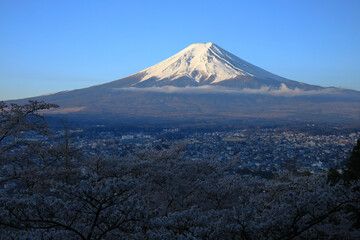 Fototapeta premium mountain