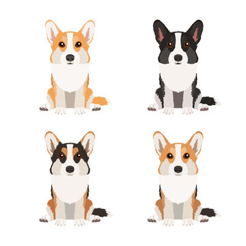 Set of corgis in different colors isolated on white background. Vector dogs collection. Flat design	
