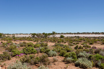 Fototapeta na wymiar Kalgoorlie is in the Goldfields region of Western Australia