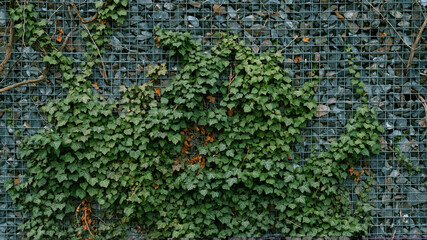 Gabion retaining wall - grey stones in gabion metallic baskets kept by retaining wall wire mesh...