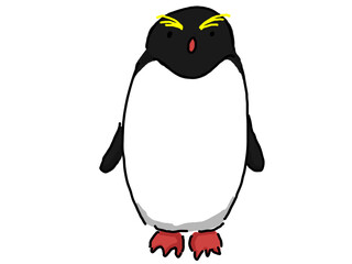 マカロニペンギン