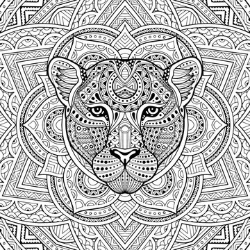 Patterned leopard, puma, panther, cat head in the zentangle style of a white background passing. Tribal ornament painted by hand. Series ethnic animals. African, Indian. Mandala. Ornament.  Vector