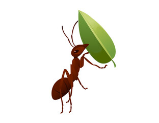 Cute brown ant holding a green leaf cartoon bug animal design vector illustration isolated on white background