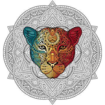 Patterned Leopard Head In The Zentangle Style Of A White Background Passing With Colorful Gradient . Tribal Ornament Painted By Hand. Series Ethnic Animals. African, Indian. Mandala. Ornament.  Vector