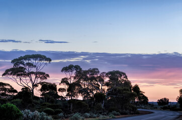 Kalgoorlie is in the Goldfields region of Western Australia
