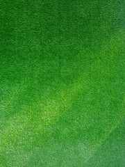 Green grass with sunlight. background texture.