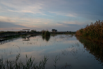 Spain. Sunrise in the El Hondo de Elche natural park. Alicante
