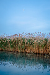 Spain. Sunrise in the El Hondo de Elche natural park. Alicante