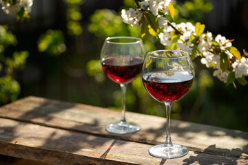 Wine Tasting Party in spring in the garden