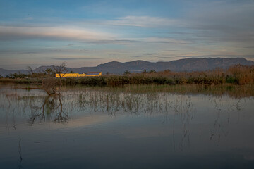 Spain. Sunrise in the El Hondo de Elche natural park. Alicante