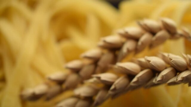 Pasta di grano duro ft0212_0339 Ear of corn on tagliatelle 