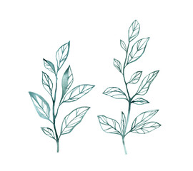 Watercolor branches. Set of florals painted with ink. Bouquet element isolated on white. Hand painted vintage artwork. Abstract illustration for cards, wedding design