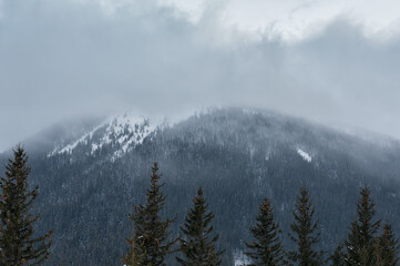 fog in the mountains