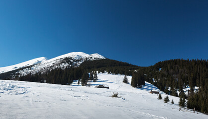 snow covered mountains