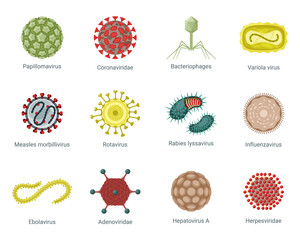 Microscopic structure viruses set. Round pinch influenza with ball hepatovirus green polygons papillomavirus wriggling ebola with numerous coronovirus spider like bacteriophage. Parasite vector.