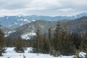 winter in the mountains