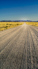 Fototapeta na wymiar Desert gravel road with vanishing point displaying the way forward. 9:16 smartphone format or vertical banner.