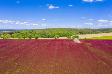 Selbstklebende Fototapeten Crimson clover field and heap of bales from above © Fyle