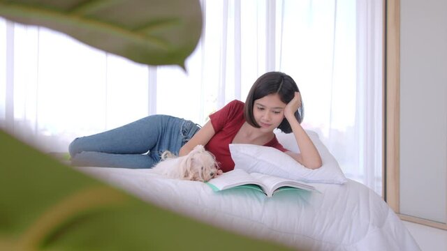 A cute white Maltese pet dog licks the hand of its young beautiful mixed race woman owner while she is studying to comfort her in white bed. New normal Isolation activity for pet lover concept.