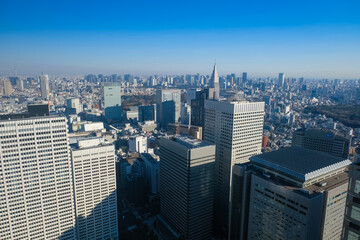 東京都庁 展望台からの景色