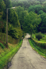 Fototapeta na wymiar Descending country road with lamp posts in lush green countryside.