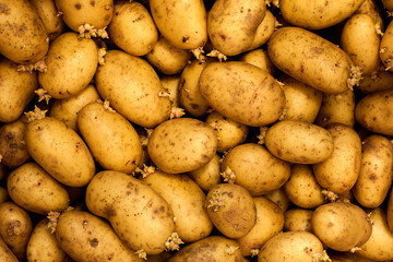 close up of potatoes