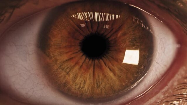 Human eye extrime close up