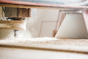 Cutting wood using a machine with numerical control. Cnc tool.