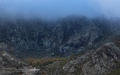 Mistic Morning on the Mountain