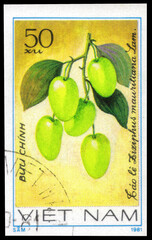 Postage stamp issued in the Vietnam with the image of the Jujube, Ziziphus mauritiana. From the...