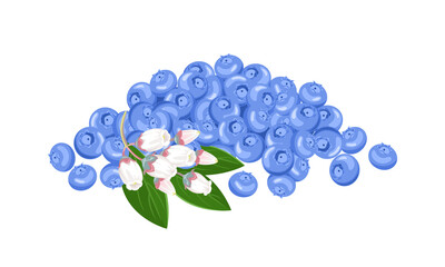 Heap of blueberry isolated on white background. Vector illustration of forest wild berries in cartoon flat style.