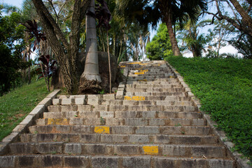 Fototapeta premium Stone stairs in with yellow bricks and a palm tree