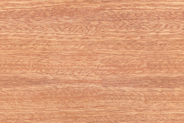 Seamless texture of African sapele tree. Mahogany wood pattern. - obrazy, fototapety, plakaty