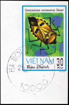 Postage stamp issued in the Vietnam with the image of the Man-faced Stink Bug, Catacanthus incarnatus. From the series on Insects, circa 1982