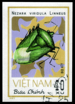 Postage stamp issued in the Vietnam with the image of the Southern Green Stink Bug, Nezara viridula. From the series on Insects, circa 1982