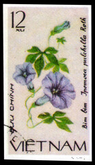 Postage stamp issued in the Vietnam with the image of the Ipomoea Pulchella. From the series on Creeping flowers, circa 1980