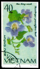 Postage stamp issued in the Vietnam with the image of the Blue Trumpet Vine, Thunbergia grandiflora. From the series on Creeping flowers, circa 1980