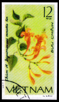 Postage stamp issued in the Vietnam with the image of the Bignonia venusta. From the series on Creeping flowers, circa 1980